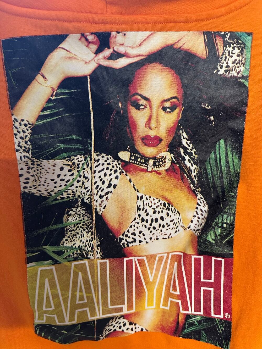 Aaliyah Orange Cropped Short Hoodie Womens Medium